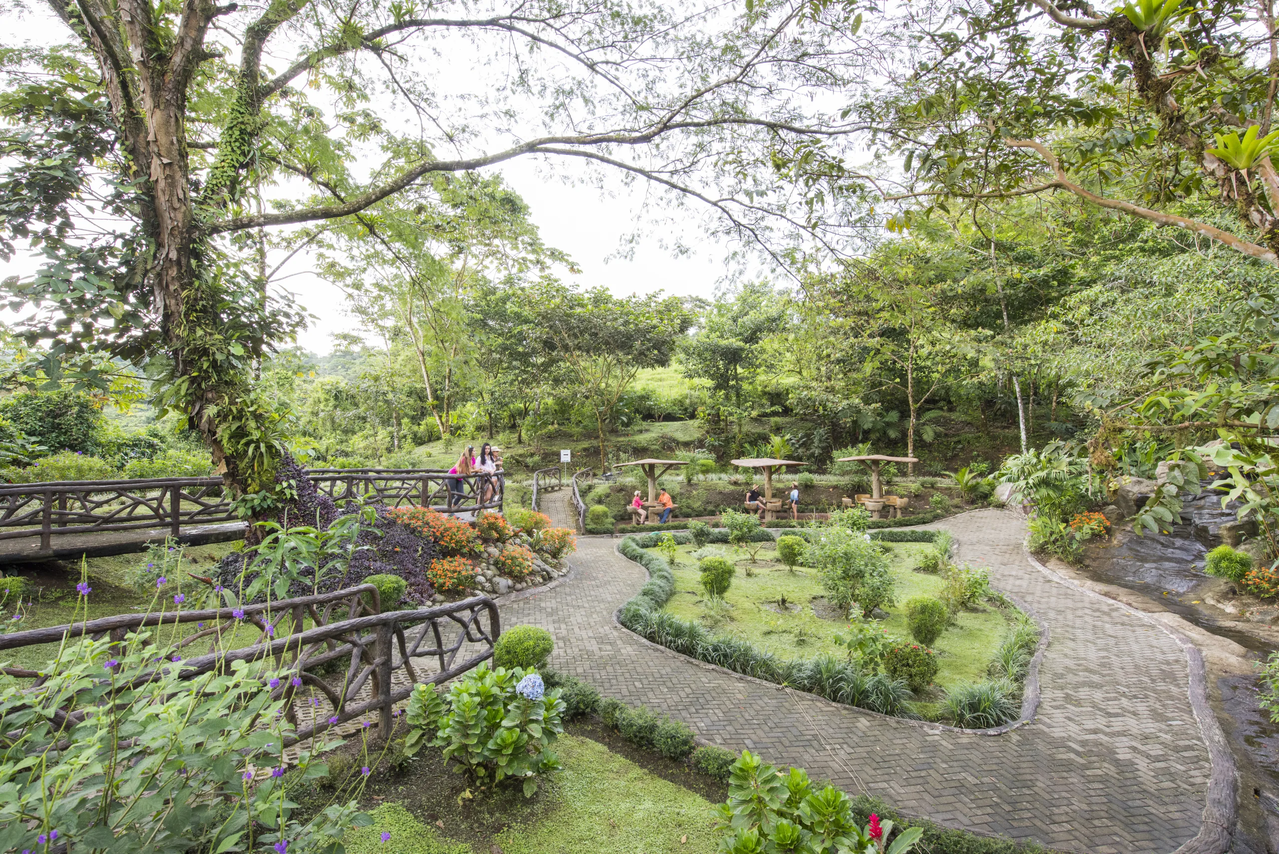 Arenal Hanging Bridges - 12