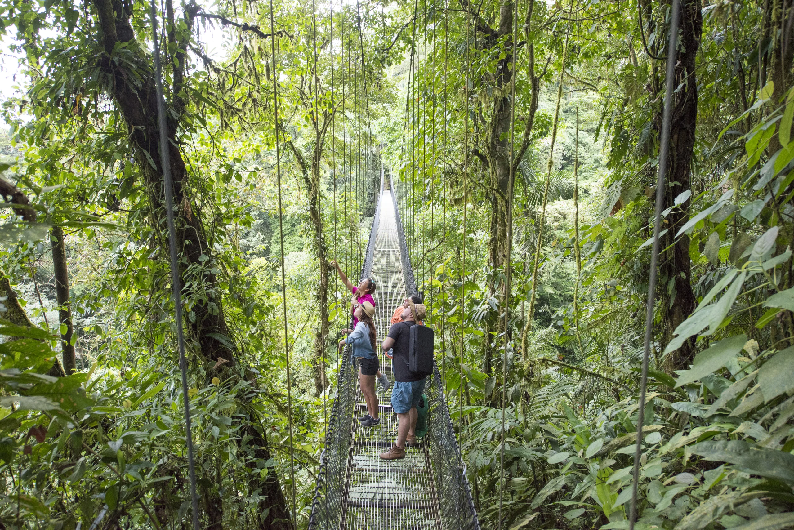 Arenal Hanging Bridges - 10