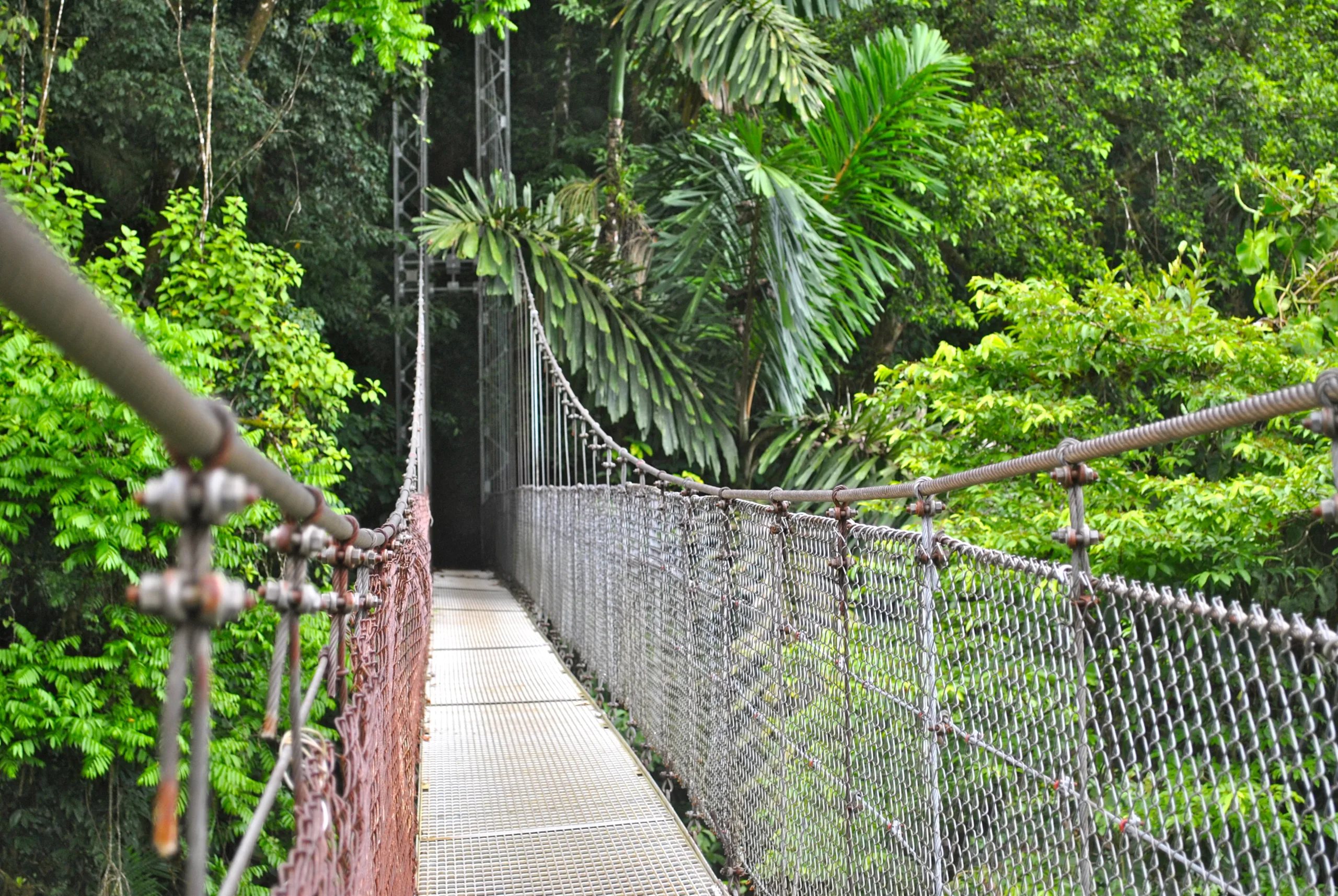 Arenal Hanging Bridges