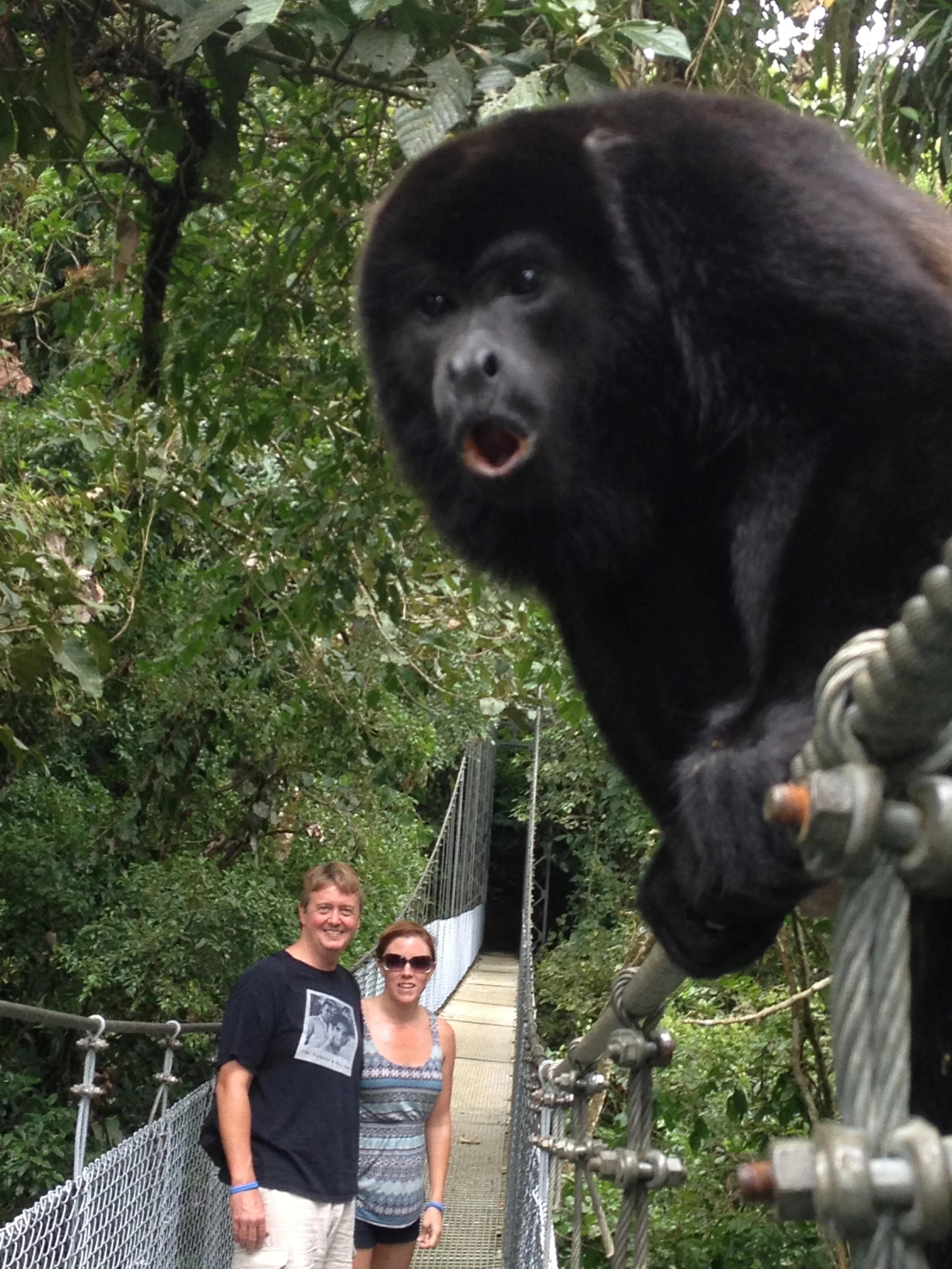 Arenal Hanging Bridges - 20