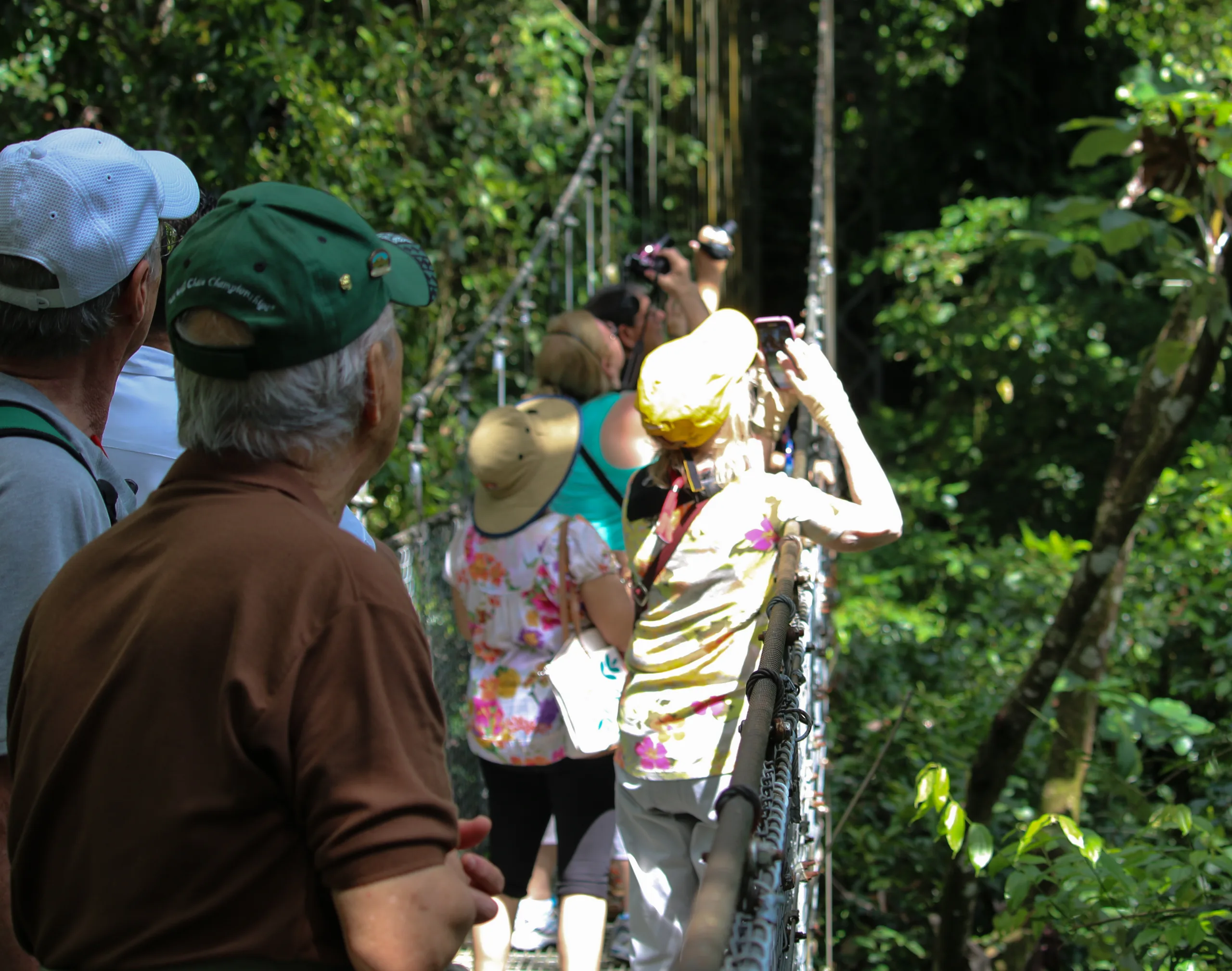 Arenal Hanging Bridges - 6
