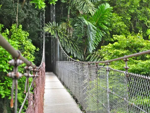 Arenal Hanging Bridges