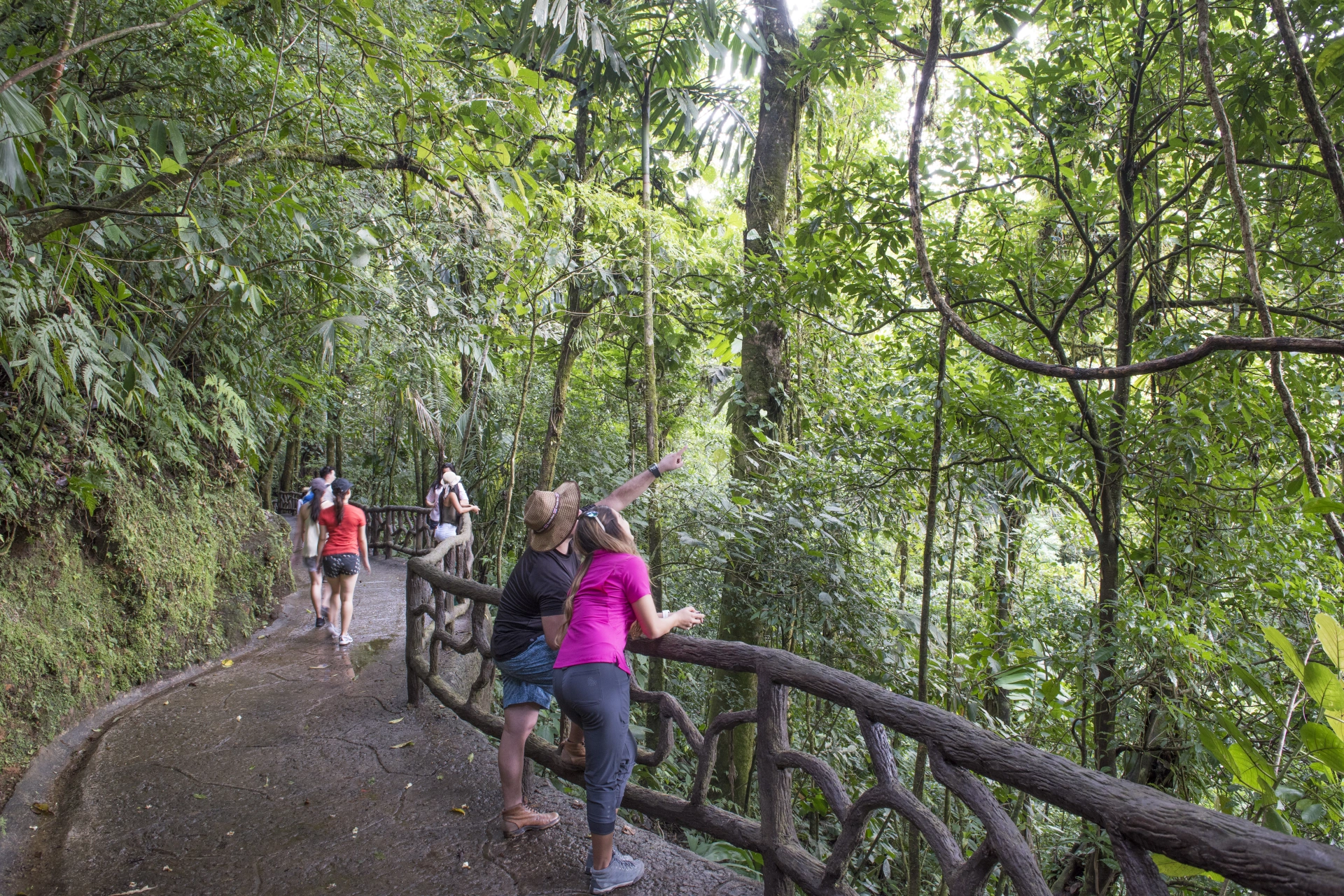 Nature Lover Combo 1 (Puentes Colgantes + Catarata de La Fortuna + Almuerzo + Caminata al Volcán Arenal) - 16