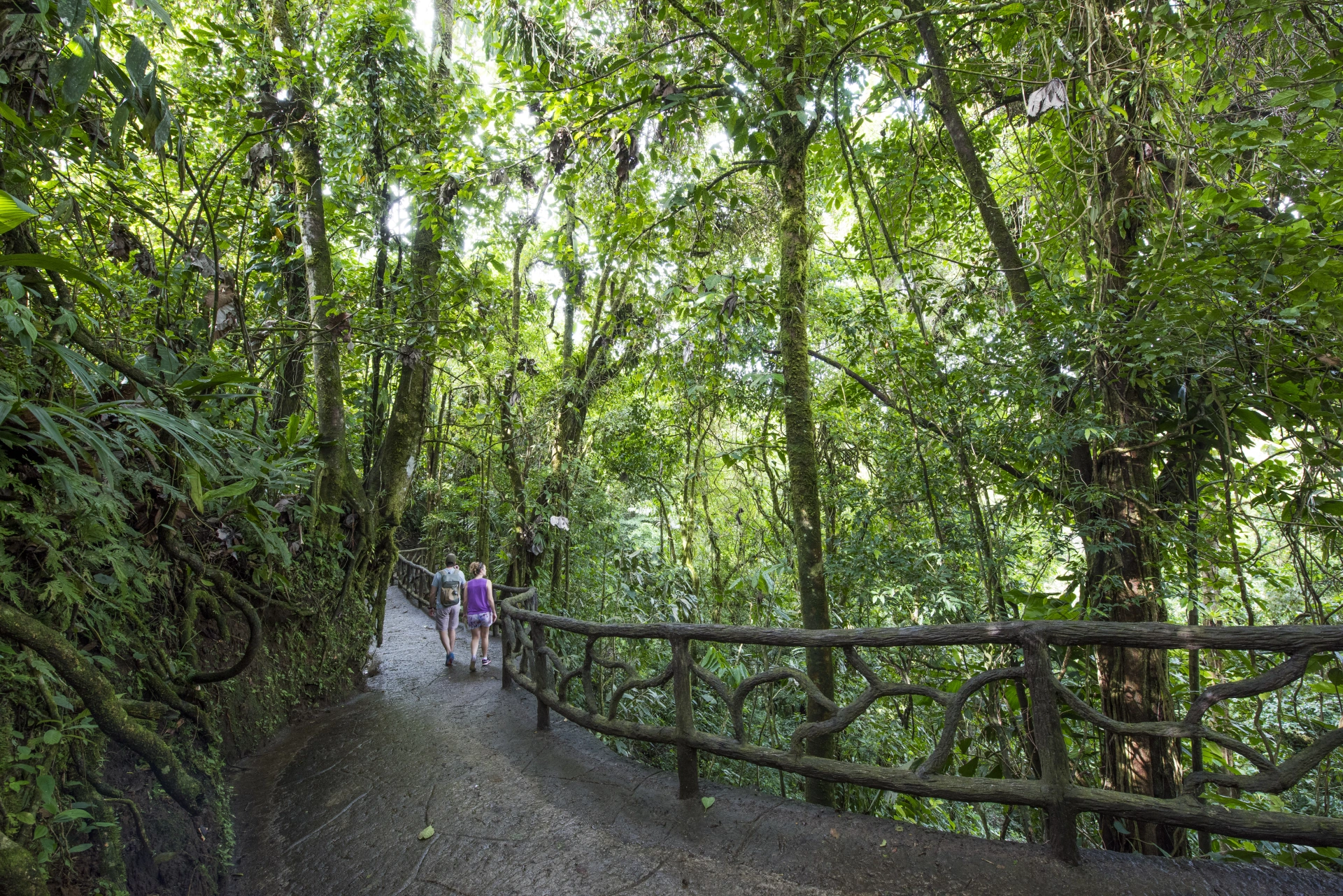Nature Lover Combo 1 (Puentes Colgantes + Catarata de La Fortuna + Almuerzo + Caminata al Volcán Arenal) - 15