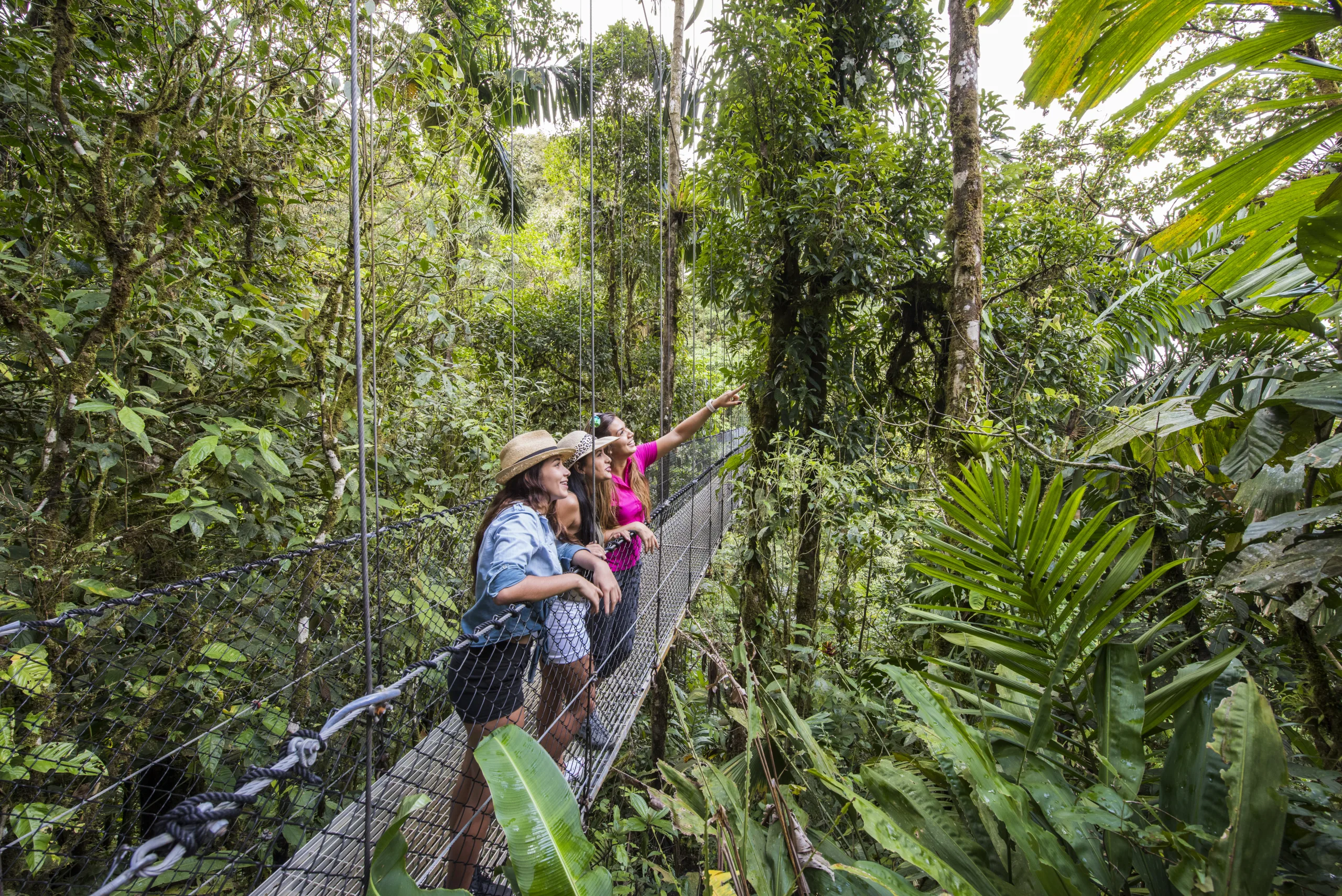 Nature Lover Combo 1 (Puentes Colgantes + Catarata de La Fortuna + Almuerzo + Caminata al Volcán Arenal) - 14