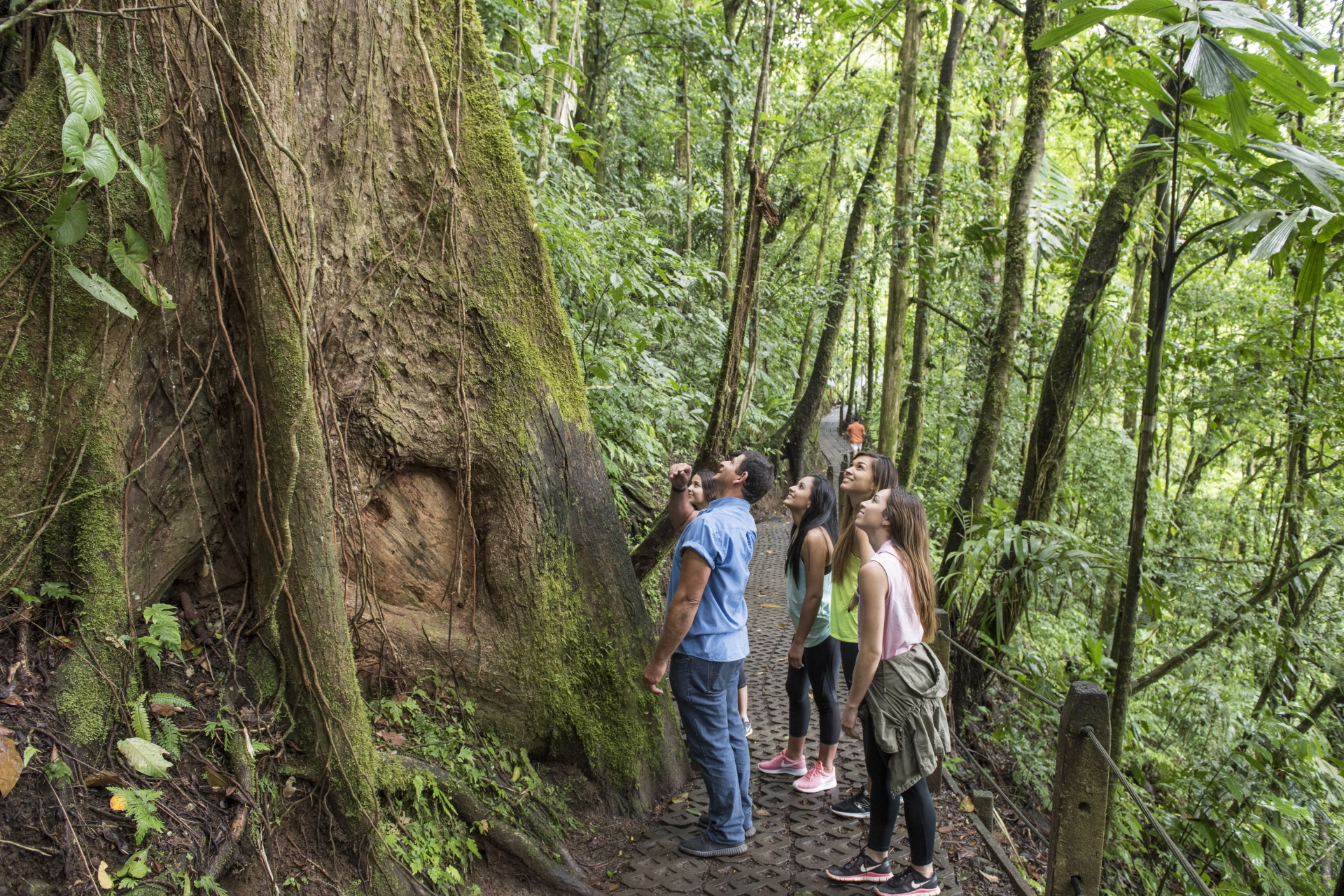 Nature Lover Combo 1 (Puentes Colgantes + Catarata de La Fortuna + Almuerzo + Caminata al Volcán Arenal) - 12