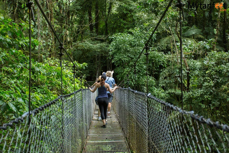Nature Lover Combo 1 (Puentes Colgantes + Catarata de La Fortuna + Almuerzo + Caminata al Volcán Arenal)