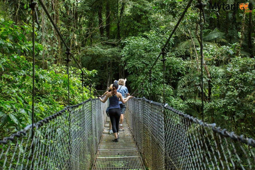 Nature Lover Combo 1 (Puentes Colgantes + Catarata de La Fortuna + Almuerzo + Caminata al Volcán Arenal) - 27