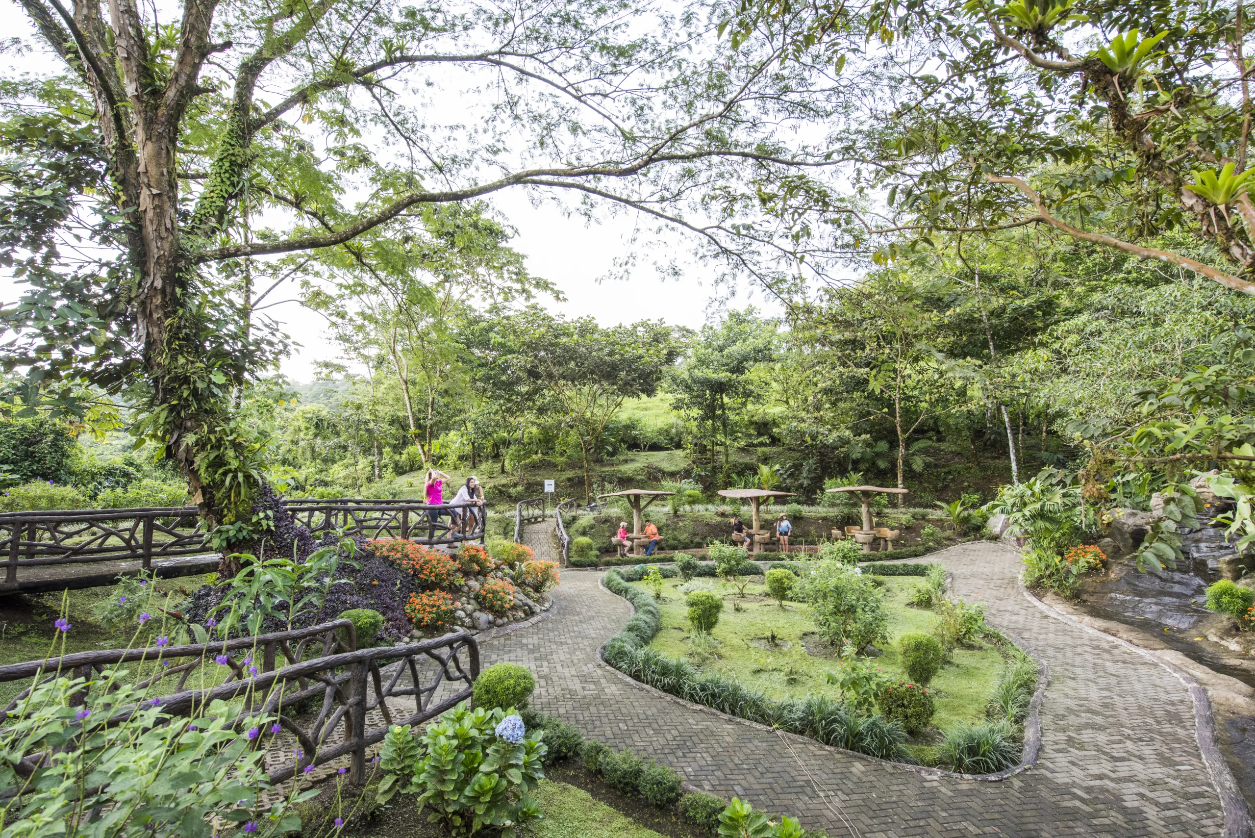 Minicombo 1 (Puentes Colgantes + Catarata La Fortuna + Almuerzo) - 10