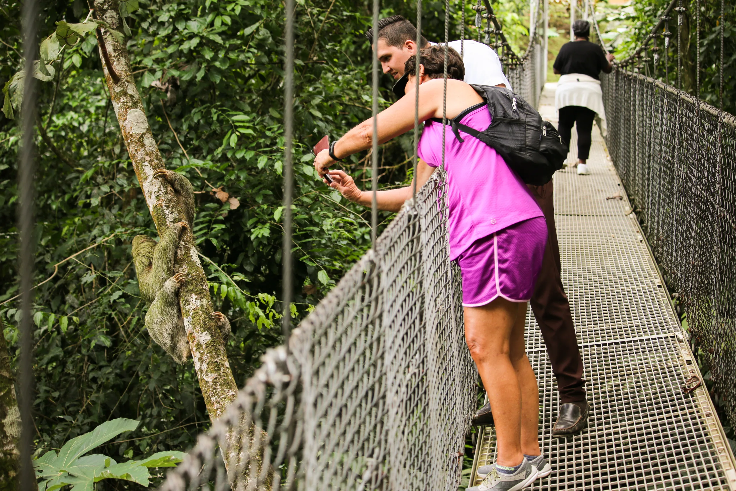 Minicombo 1 (Puentes Colgantes + Catarata La Fortuna + Almuerzo) - 8