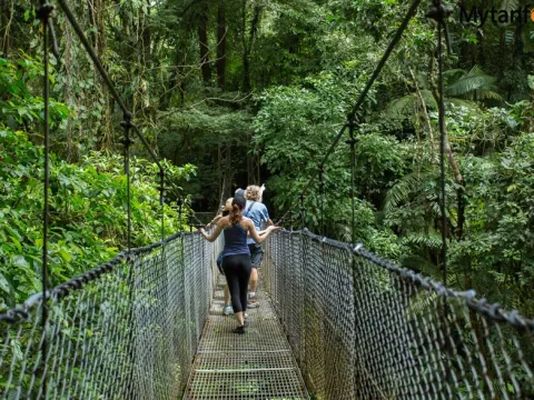 Nature Lover Combo 3 (Puentes Colgantes + Catarata La Fortuna + Almuerzo +  Caminata al Volcán Arenal)